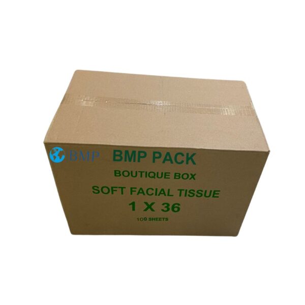 BMP Boutique Facial Tissue Cube Box 100 Tissue 2 Ply in each box - 36 White Box - Image 2